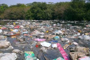 Plastiktüten veschmutzen das Wasser